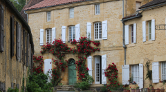 Traditional Périgord golden stone house with climbing roses and white shutters in a historic village of Dordogne, France.